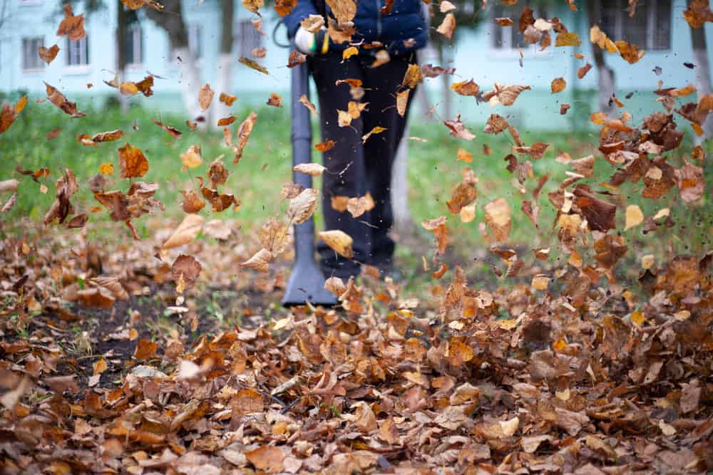 Cleanup, Cleanup, Every Lawn, Everywhere!